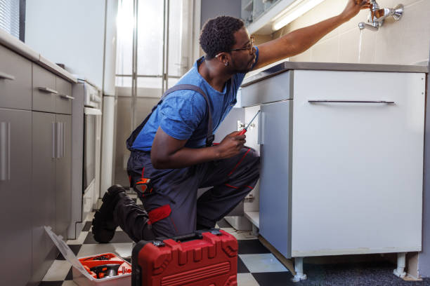 Best Local Plumber Services  in South Les, AK